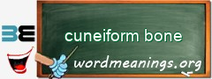 WordMeaning blackboard for cuneiform bone